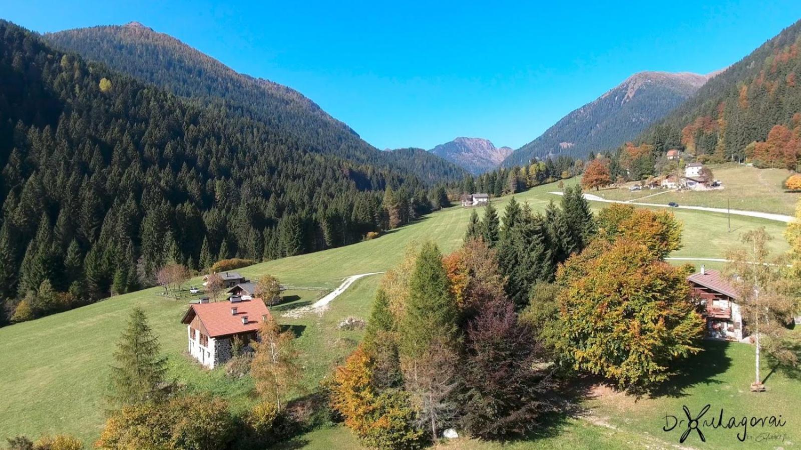 Chalet Al Maso Val Calamento Telve Dış mekan fotoğraf
