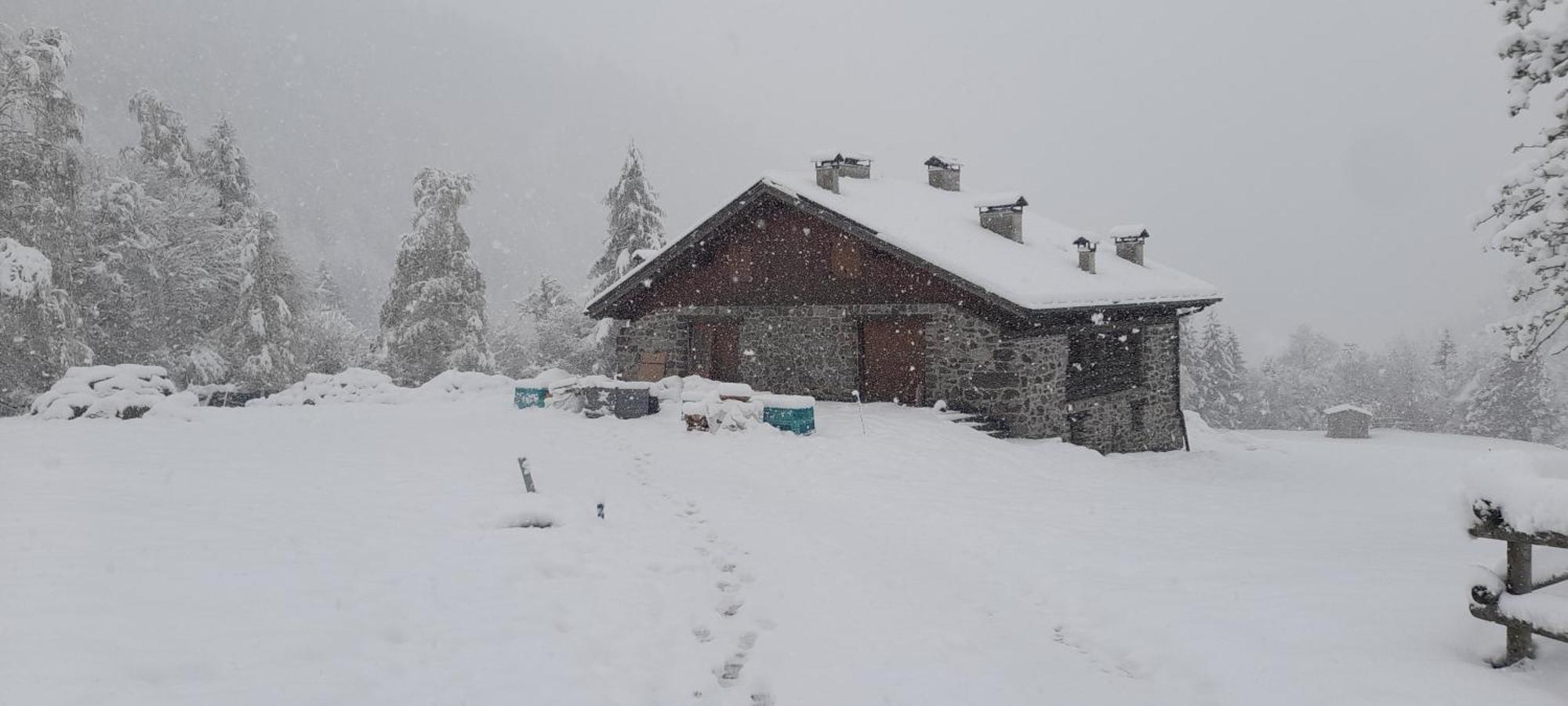 Chalet Al Maso Val Calamento Telve Dış mekan fotoğraf